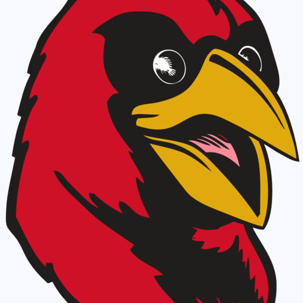 BAW CARDINAL 05 RC Thumbnail