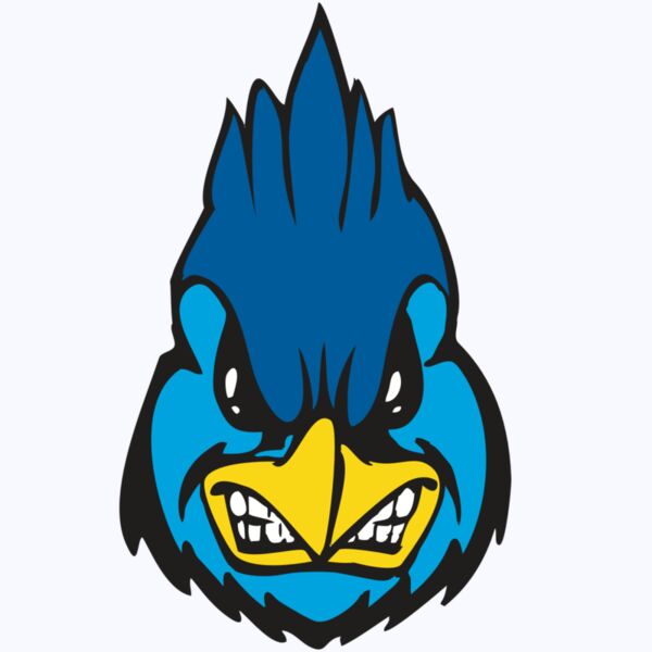 BAW BLUEJAY 02 RC Thumbnail