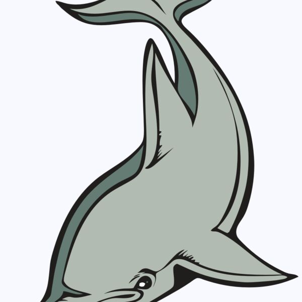 BAW DOLPHIN 01 RC Thumbnail