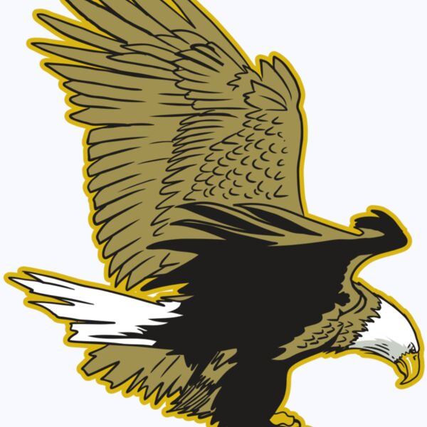 AR10 EAGLE 01 RQC Thumbnail