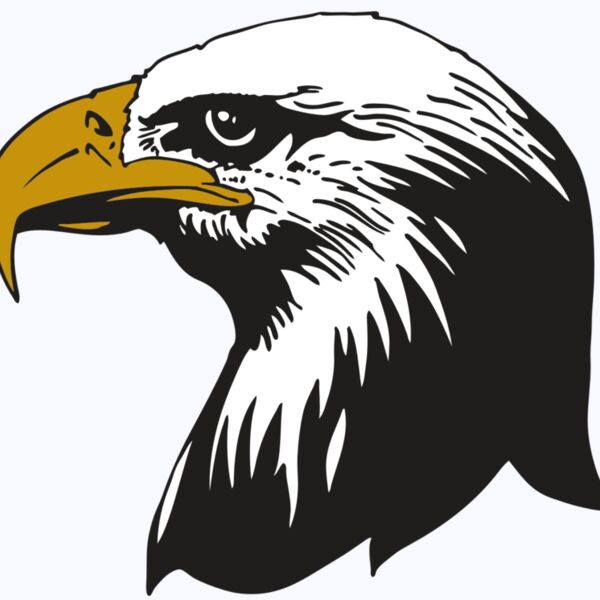 AR EAGLE 87 RC Thumbnail