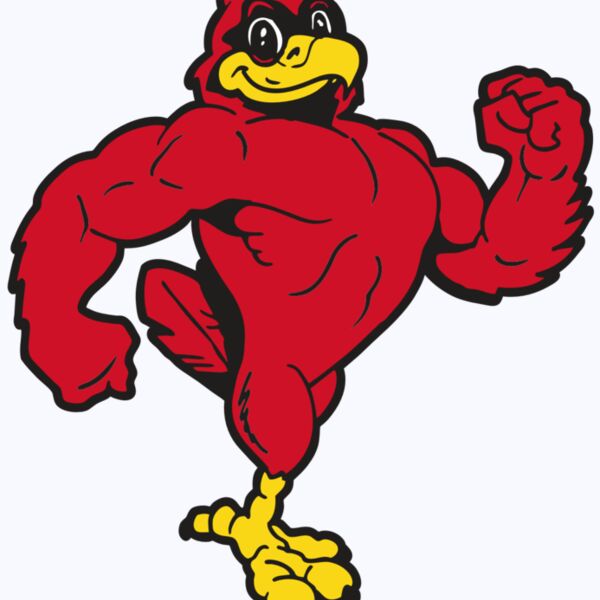 AR CARDINAL 41 RC Thumbnail