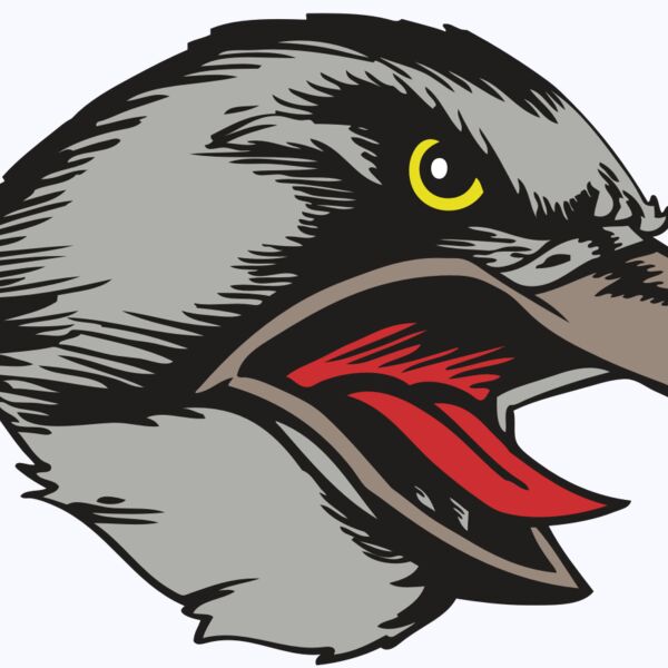 BAW HWK FLCN 13 RC Thumbnail