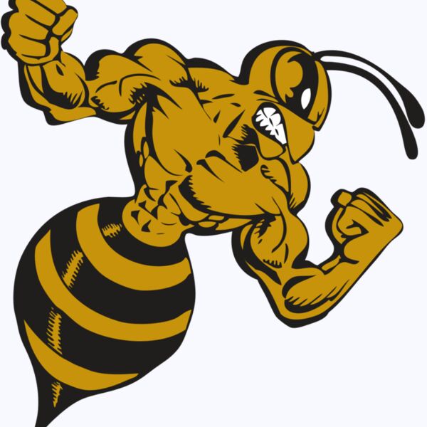 BAW BEE 01 RC Thumbnail