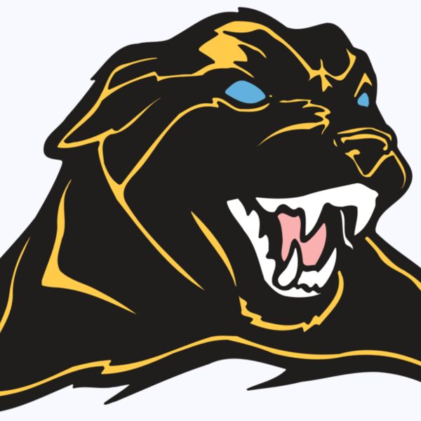 AR COUGAR 42 RC Thumbnail