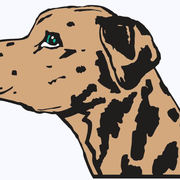 AR2 OTHER 03 RQC Thumbnail