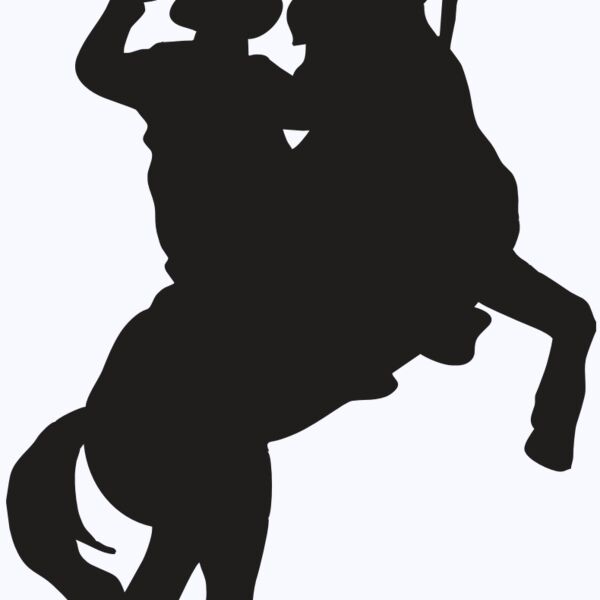 AR COWBOY 26 RC Thumbnail