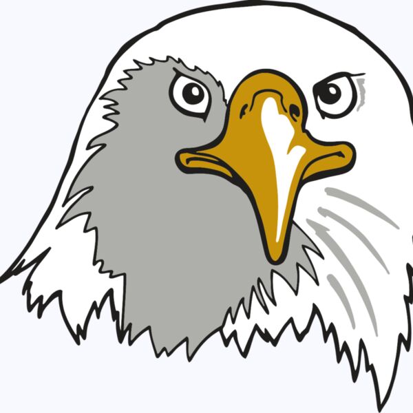 AR EAGLE 39 RC Thumbnail