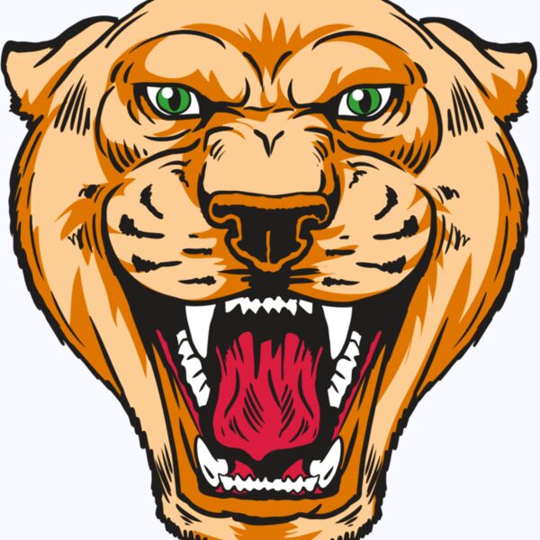 AR13 COUGAR 01 RQC Thumbnail