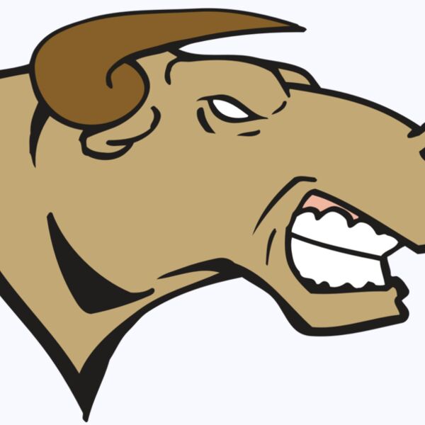 AR BULL 30 RC Thumbnail