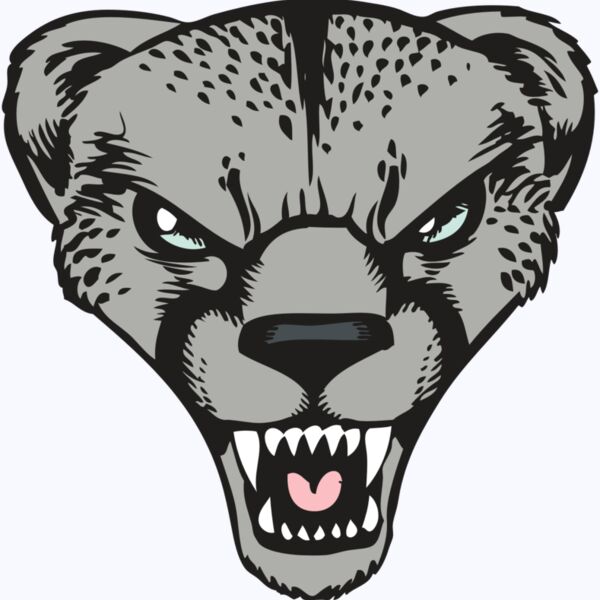 BAW CHEETAH 15 RC Thumbnail