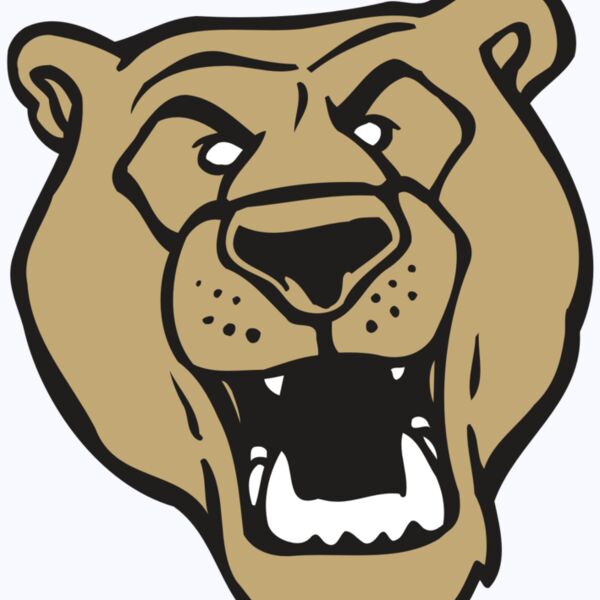 AR BEAR 13 RC Thumbnail