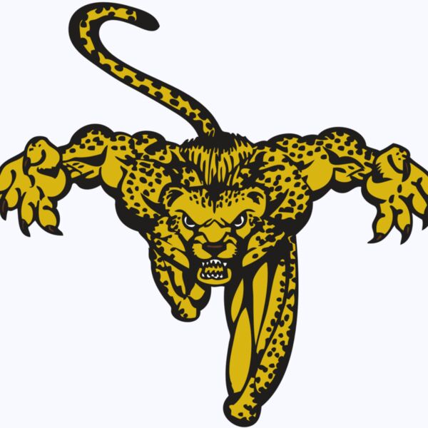 BAW CHEETAH 08 RC Thumbnail