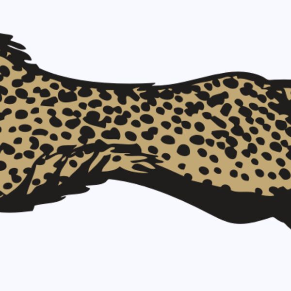 BAW CHEETAH 01 RC Thumbnail