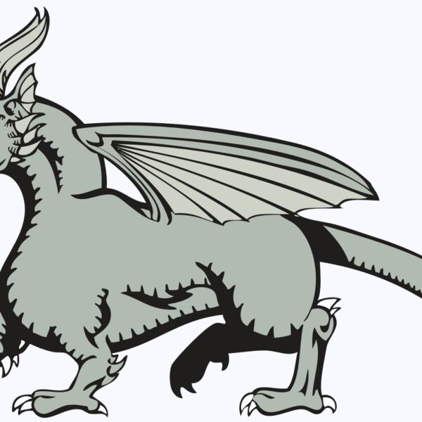 BAW DRAGON 20 RC Thumbnail