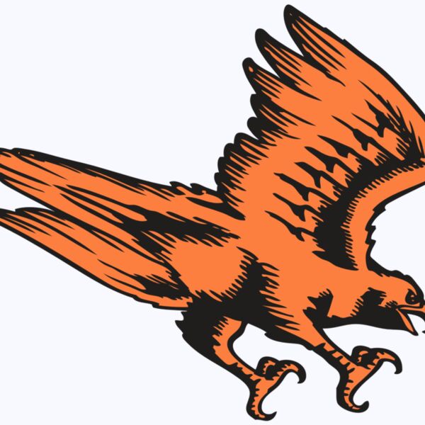 BAW HWK FLCN 04 RC Thumbnail