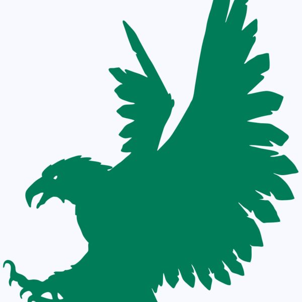 AR EAGLE 88 RC Thumbnail