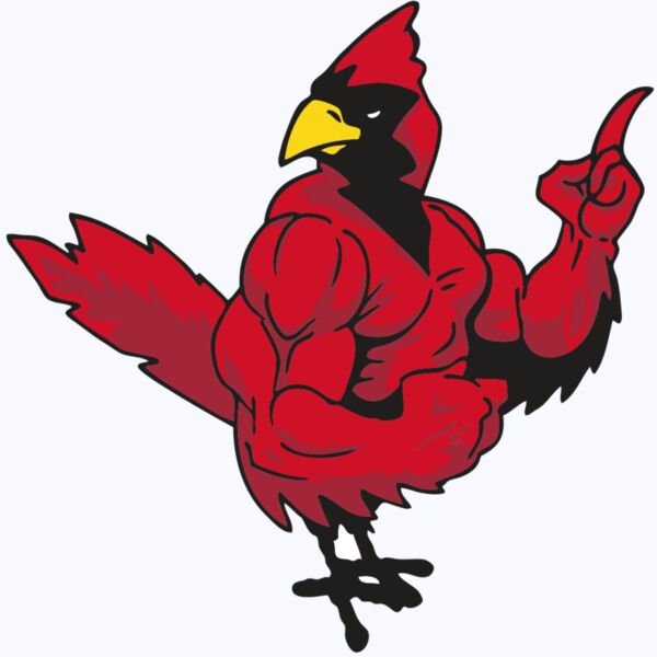 AR CARDINAL 27 RC Thumbnail