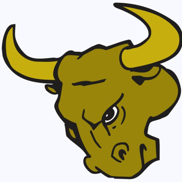 AR BULL 26 RC Thumbnail