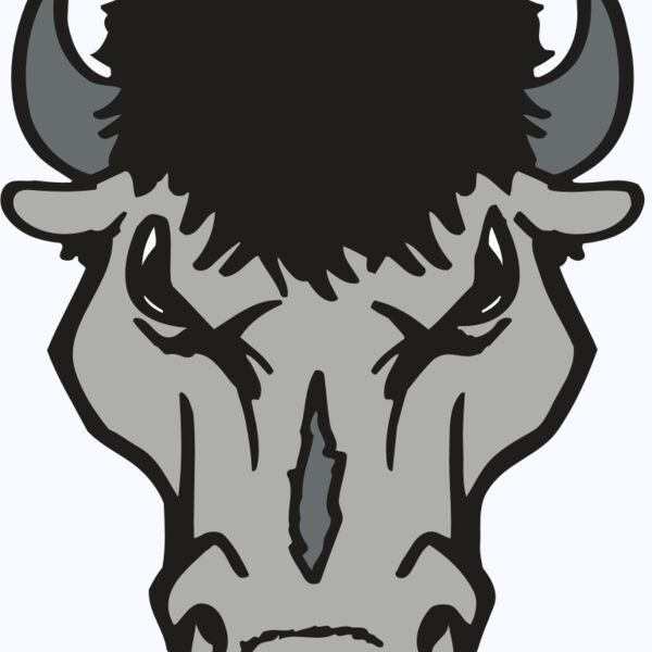 AR BUFFALO 15 RC Thumbnail