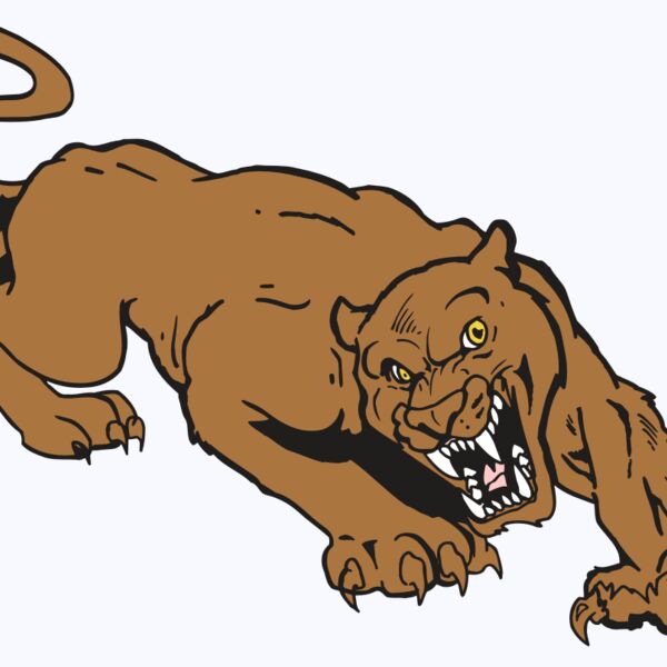 AR5 COUGAR 41 RQC Thumbnail