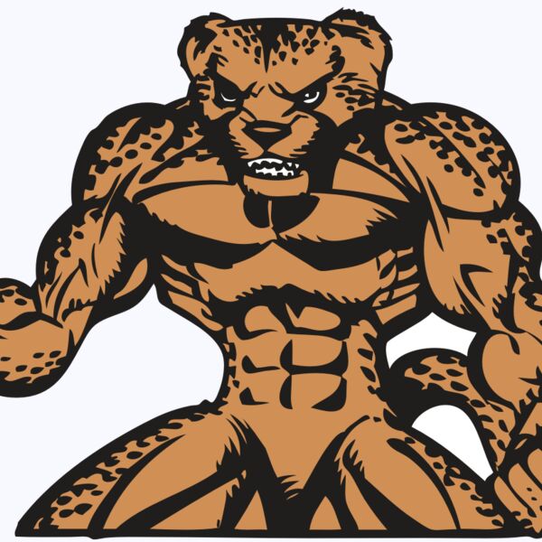 BAW CHEETAH 07 RC Thumbnail