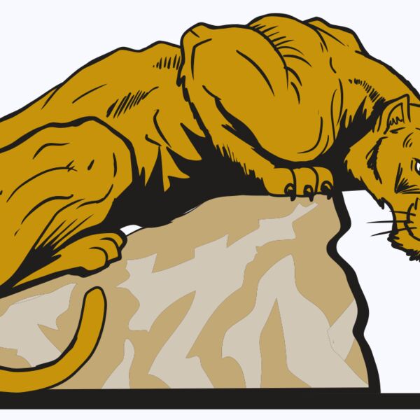 AR10 PANTHER 01 RQC Thumbnail