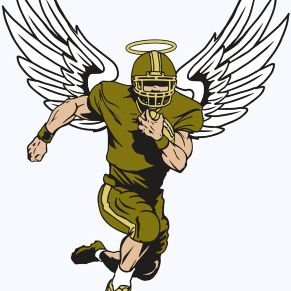 AR17 ANGEL FBLL 01 RQC Thumbnail