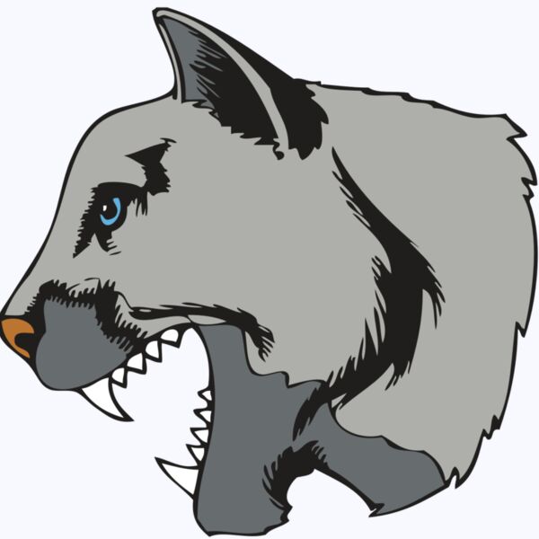 BAW COUG PANTH 15 R Thumbnail