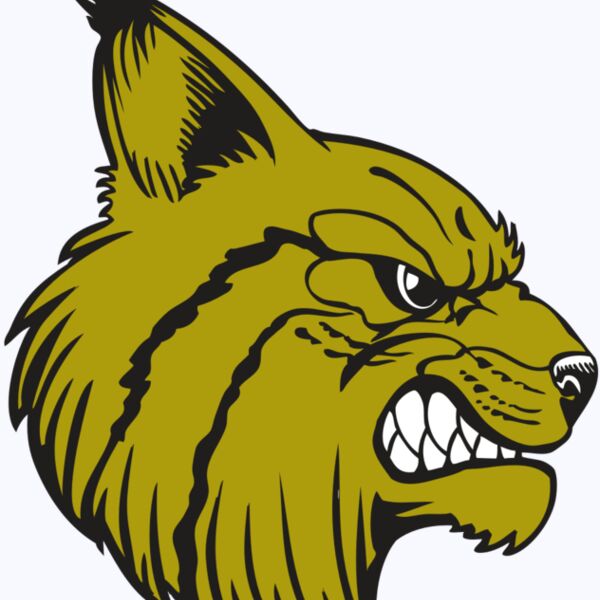 BAW BOBCAT 16 RC Thumbnail