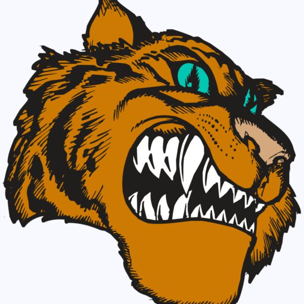 BAW TIGER 11 RC Thumbnail