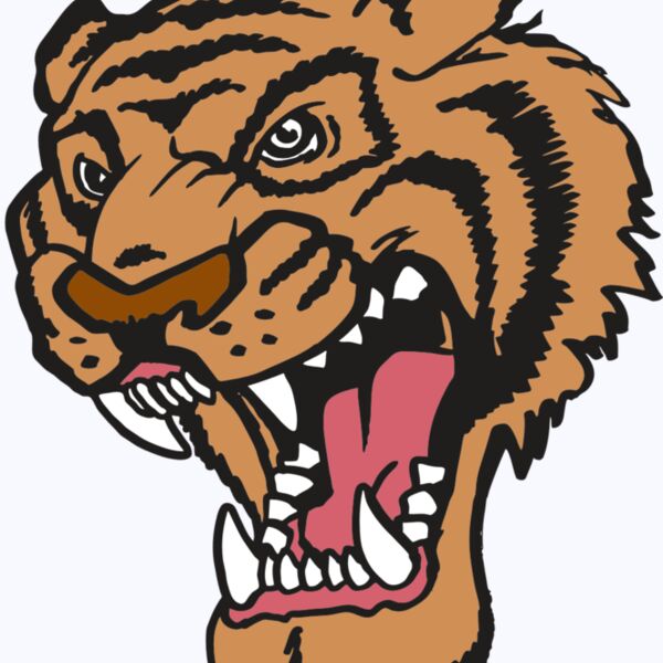 AR TIGER 12 RC Thumbnail