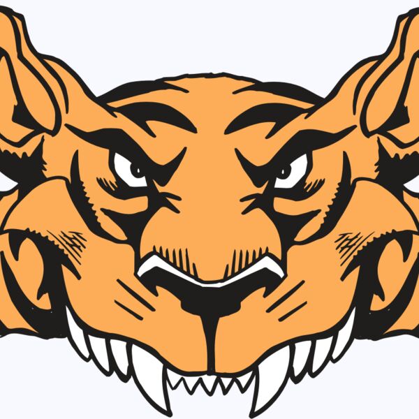 AR5 Tiger 07 RQC Thumbnail