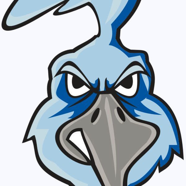 ROADRUNNER HD0502 RQC Thumbnail