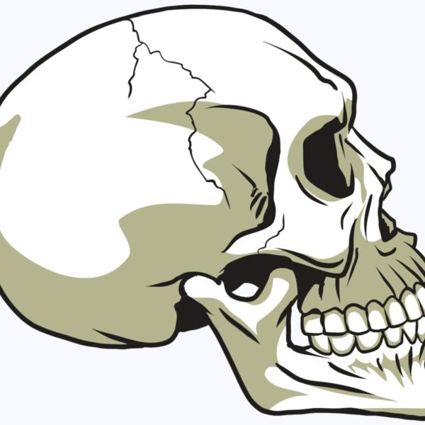 AR24 SKULL 12 RQC Thumbnail