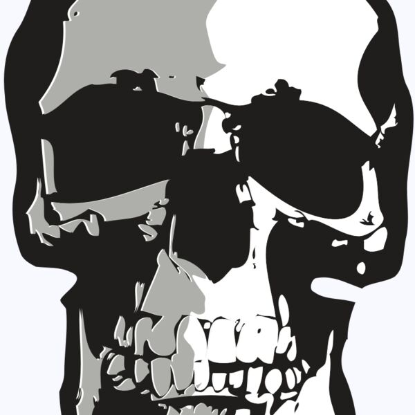 AR24 SKULL 01 RQC Thumbnail