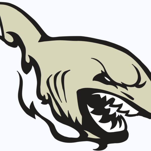 AR5 Shark 08 RQC Thumbnail