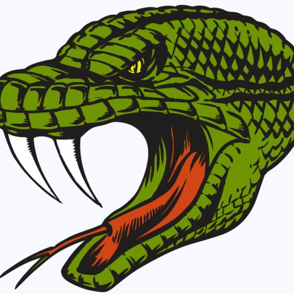 BAW SNAKE 14 RC Thumbnail