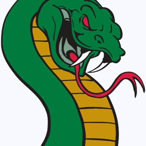 AR SNAKE 12 RC Thumbnail