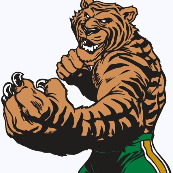 AR TIGER 64 RC Thumbnail