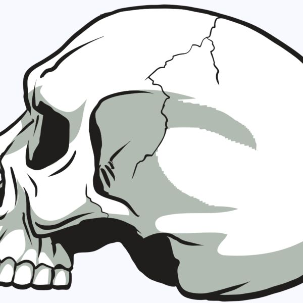 AR24 SKULL 11 RQC Thumbnail