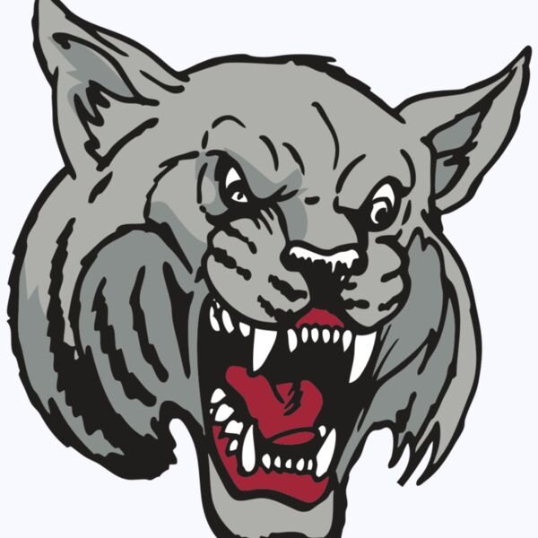 AR WILDCAT 42 RC Thumbnail