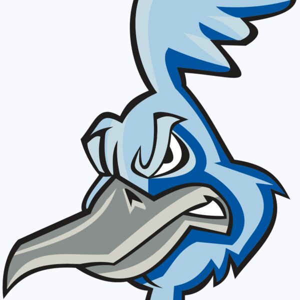 ROADRUNNER HD0501 RQC Thumbnail