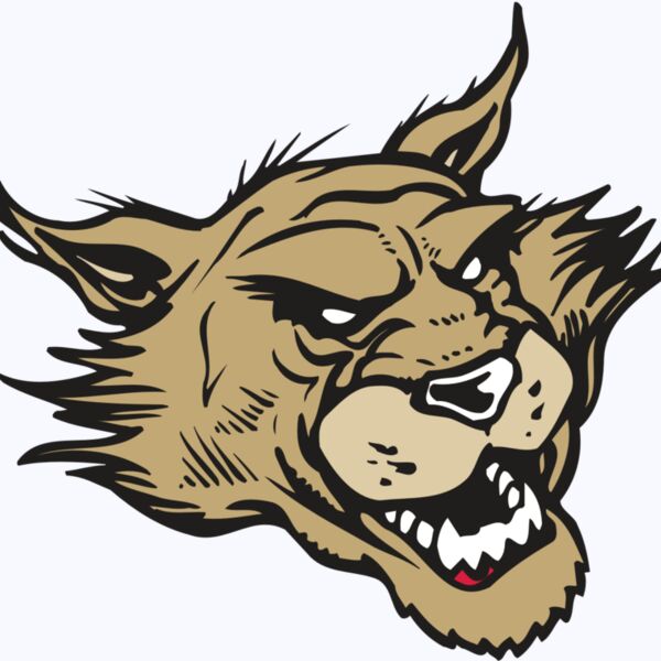 AR WILDCAT 39 RC Thumbnail