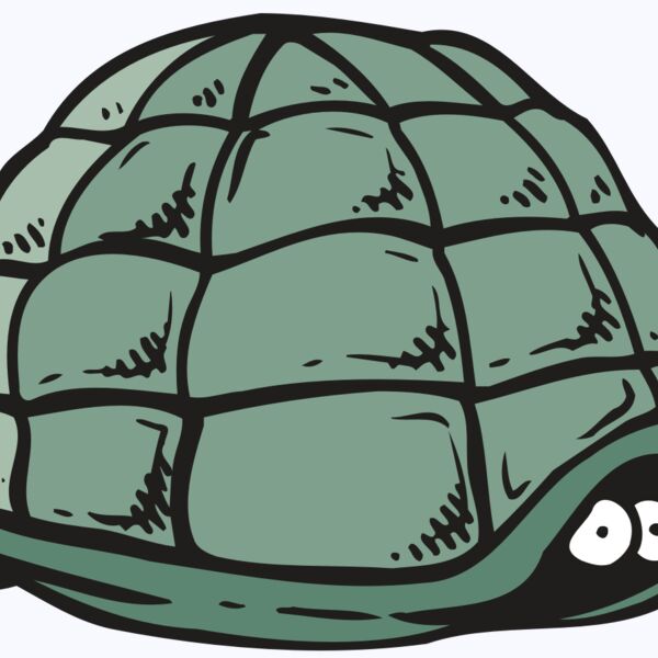 AR5 Turtle 10 RQC Thumbnail