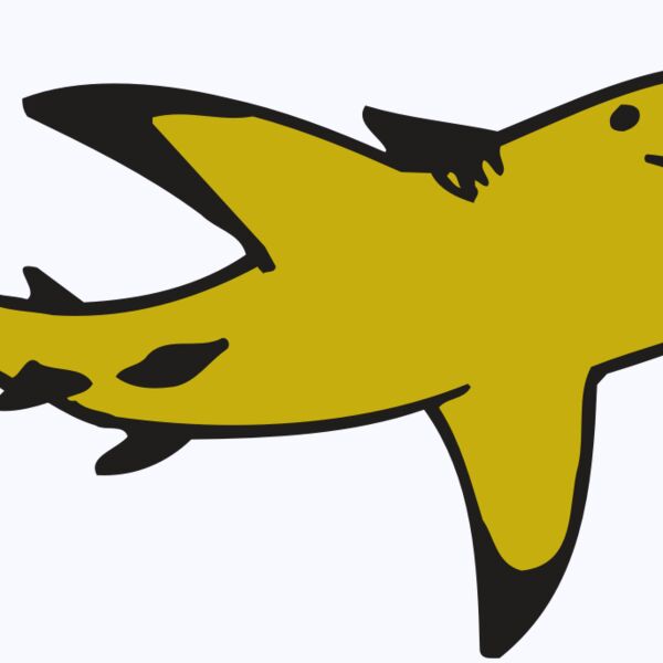 AR  SHARK 32 RC Thumbnail