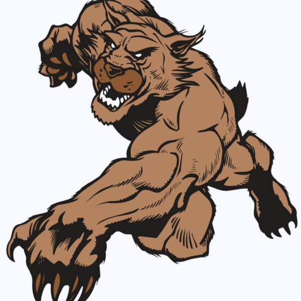 AR WILDCAT 47 RC Thumbnail