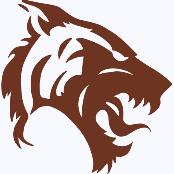 AR5 TIGER 06 RQC Thumbnail