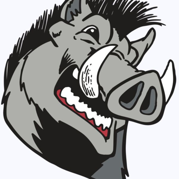 AR RAZORBACK 15 RC Thumbnail