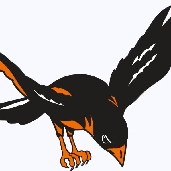 AR ORIOLE 16 RC Thumbnail